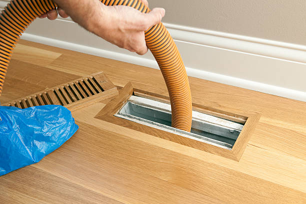 Best Air Vent Cleaning Services  in Shell Valley, ND